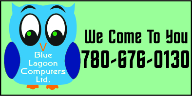 blue owl, green background, we come to you, 780-676-0130